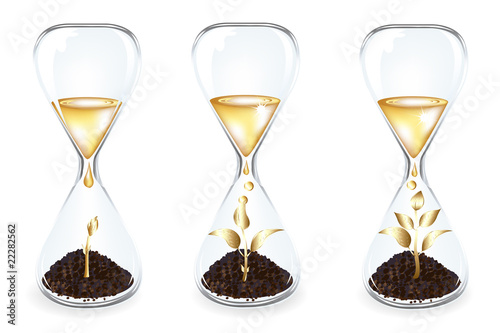 Golden Money tree inside Glass clock