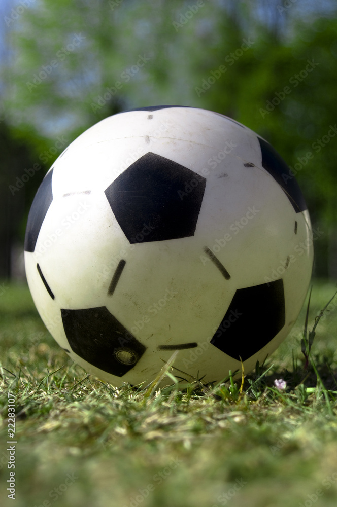 Ballon de foot dans l'herbe