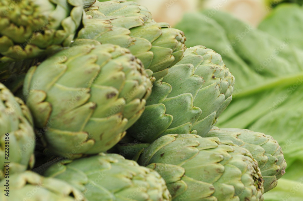 Obraz premium Artischocke