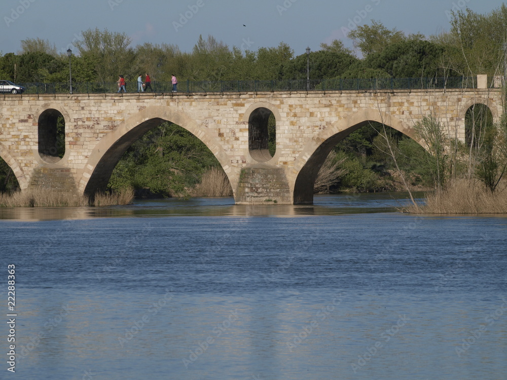 Puente de piedra románico en Zamora