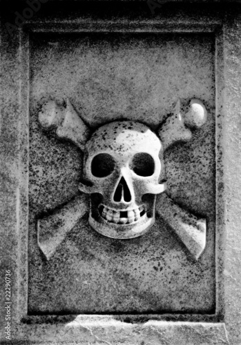 skull and  crossbones photo