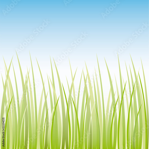 Vector grass illustration border background