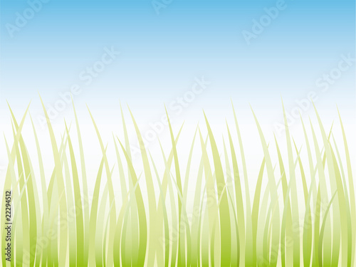 Vector grass illustration border background