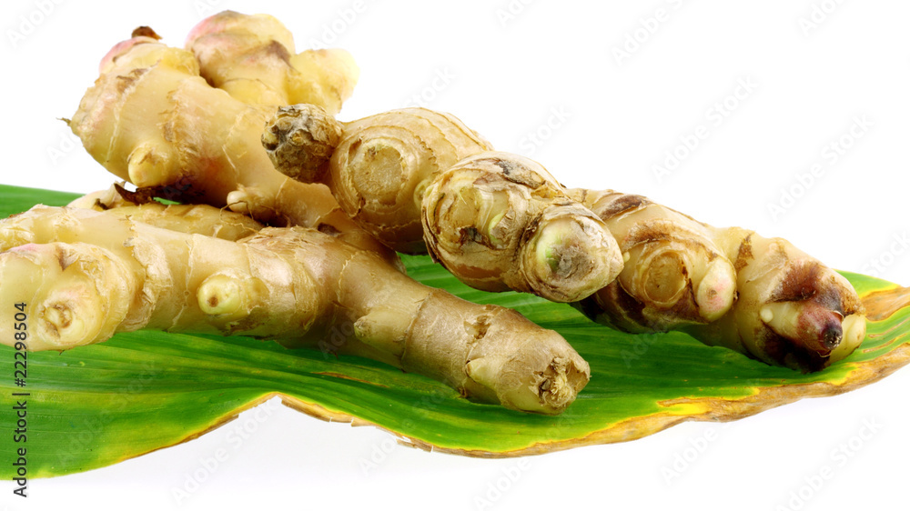 rhizomes de gingembre sur feuille de la plante, fond blanc rhizomes de gingembre sur feuille de la plante, fond blanc
