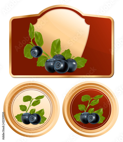 design of packing jam jar with photo-realistic blueberry.
