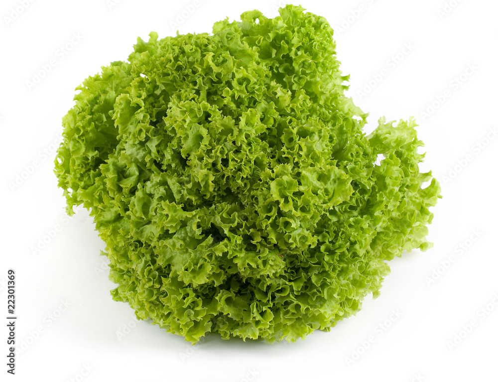 Salat Salat