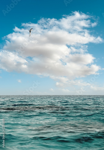 Clouds and the sea. © Sergey Belov