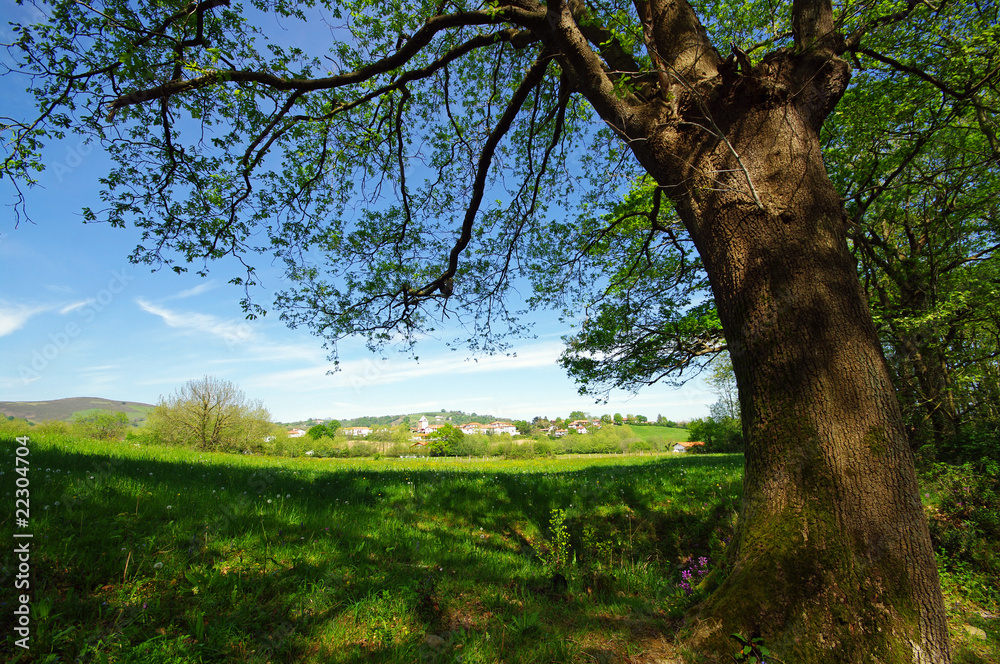 Fototapeta premium Sare village du pays basque