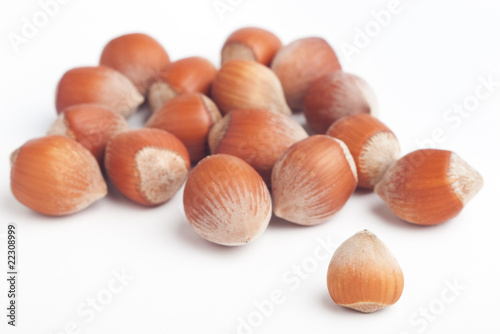 Lots of blurred hazelnuts with front one in focus on white