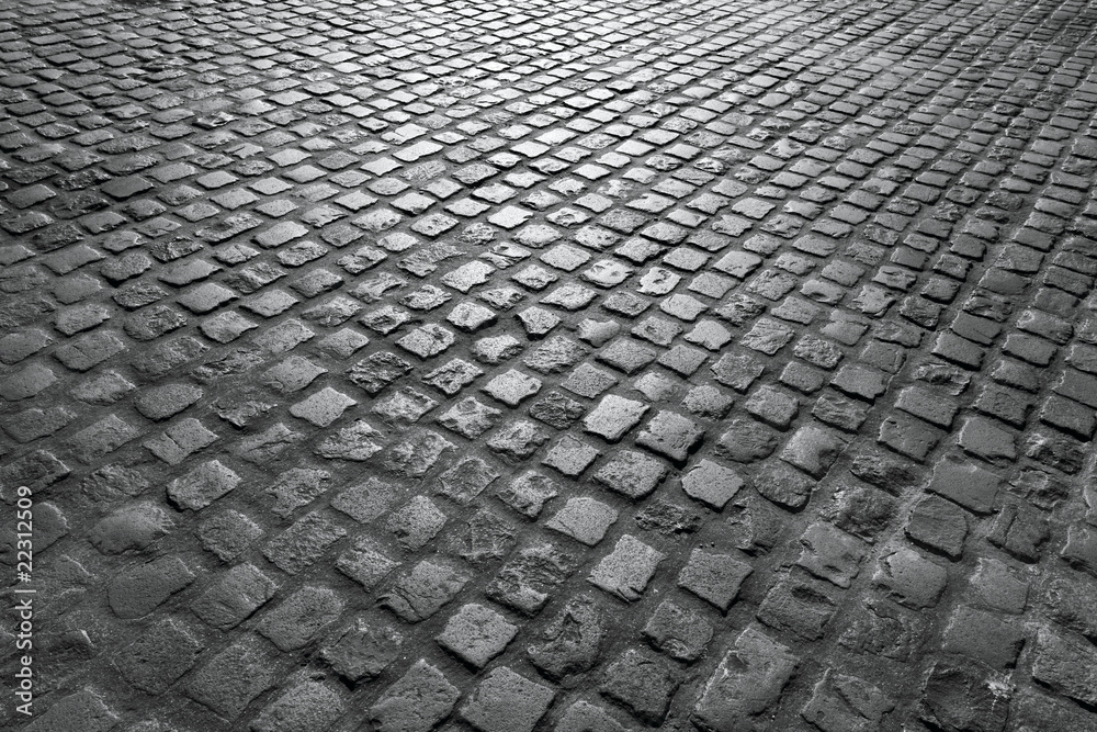 Old English cobblestone road close up in black and white.