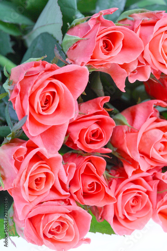 big bouquet of beautiful is bright-pink roses