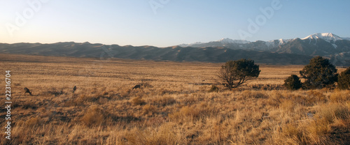 Great Sand Dunes National Park