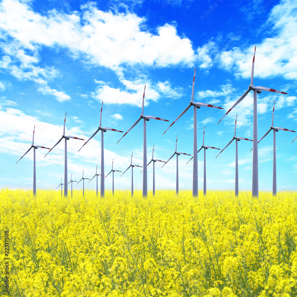 Windräder - soweit das Auge reicht Windräder - soweit das Auge reicht