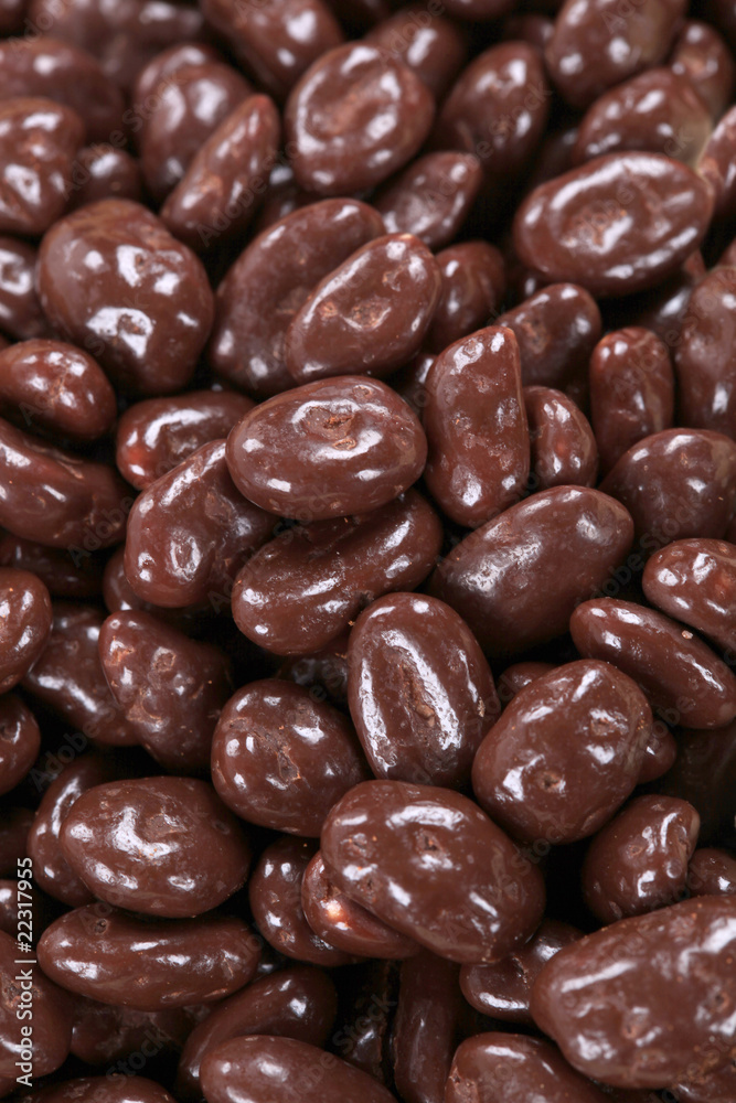 Chocolate covered peanuts