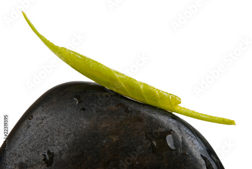 Fotografie Braided sheet of tree on dark stone