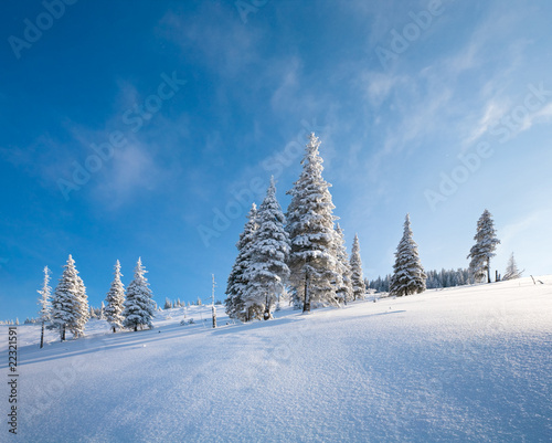 Snowy landscape