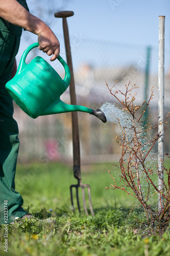 Garden watering photo