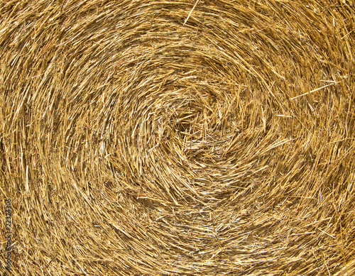 Rolling Haystack.