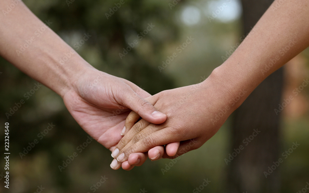Lovers couple holding hands in a forest (summer/spring) Lovers couple holding hands in a forest (summer/spring)