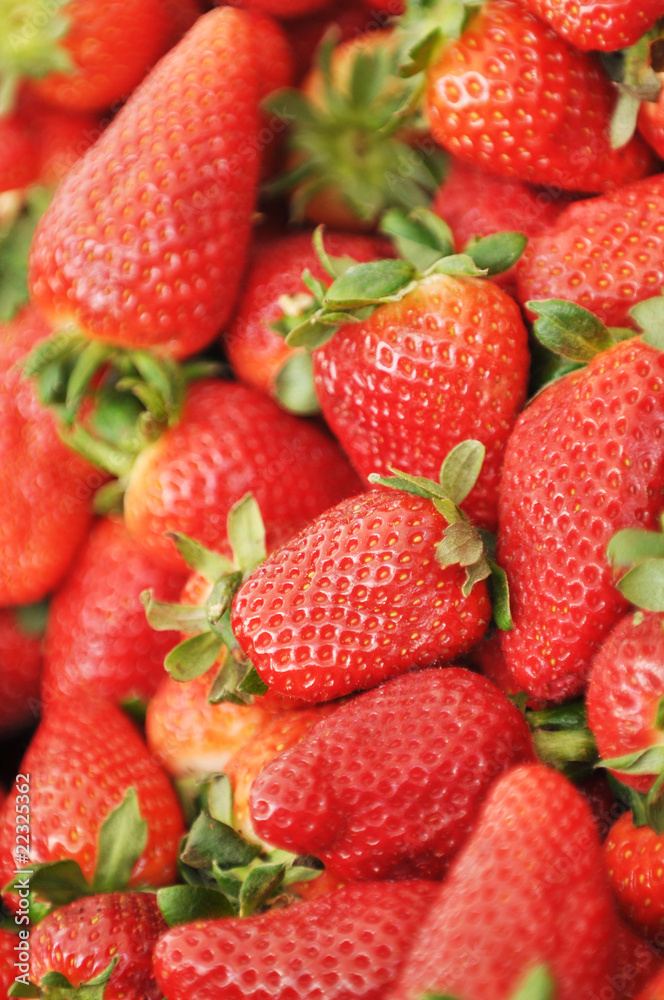Erdbeeren Erdbeeren