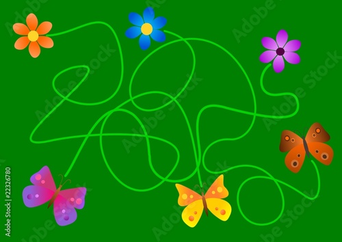 Which butterfly does fly which flower to?