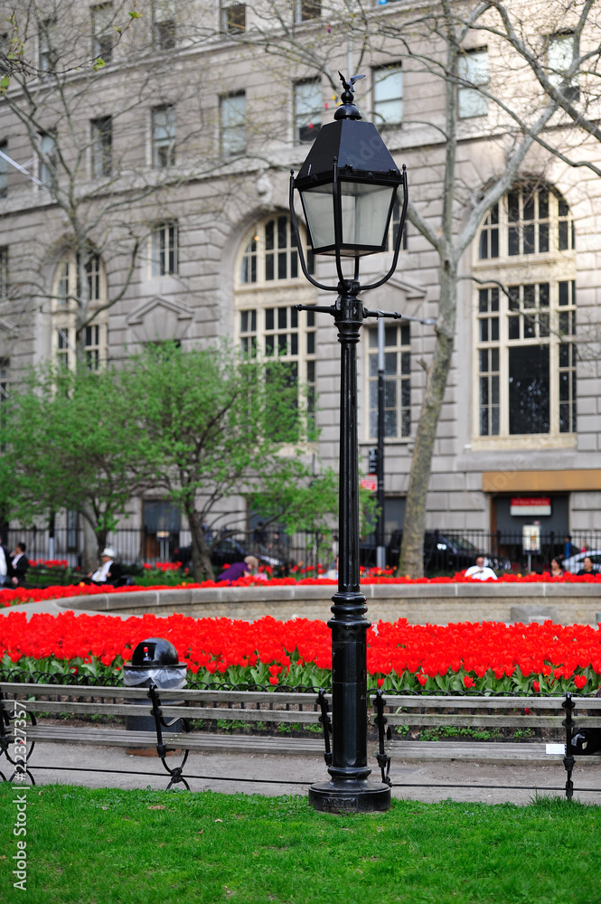 Lamp post and tulips