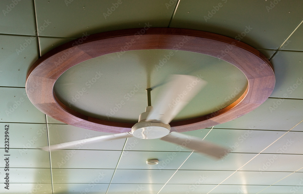 Celing Fan Under Green Ceiling