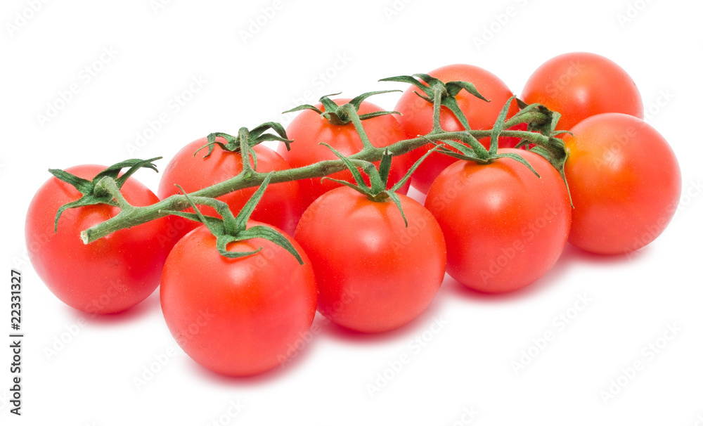 Tomatoes Tomatoes