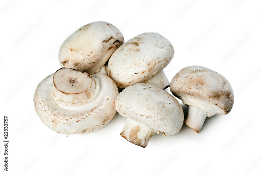 mushrooms mushrooms