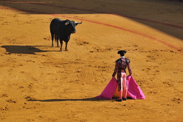 Poster Stierenvechten Matador oog in oog met stier  © garogorille