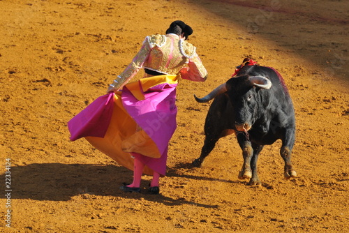 Corrida - Torero dancing with the Bull