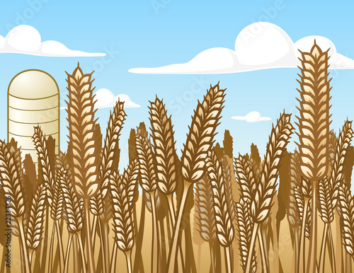 Wheat Field