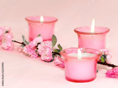 Burning candles and branch of colours on pink a background