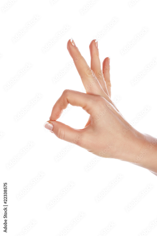 Various signs hands and palms Various signs hands and palms