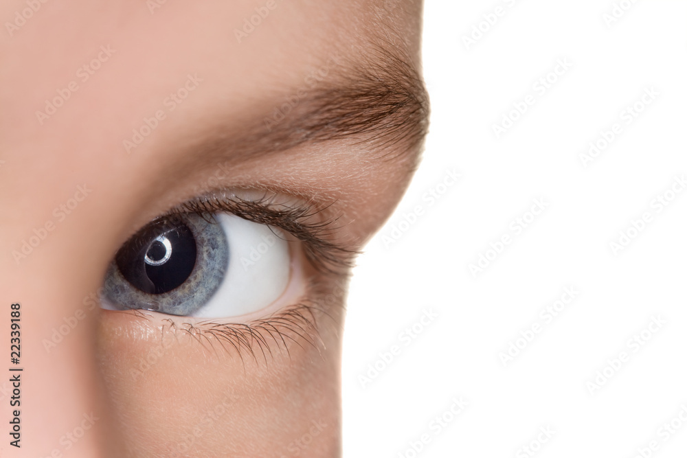 Fototapeta premium left blue eye of child close up isolated on white background