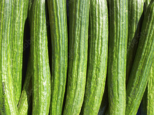 Cucumbers closeup background