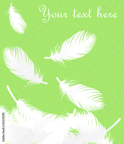 Feathers vector background