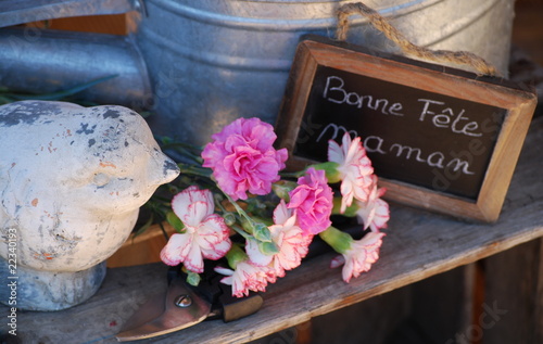 bonne fête maman coté jardin photo