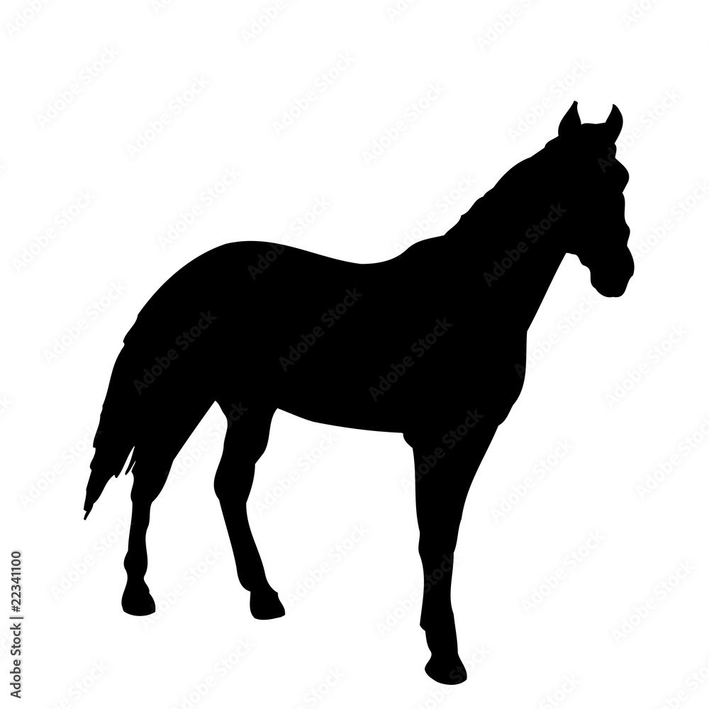 Horse. Horse.