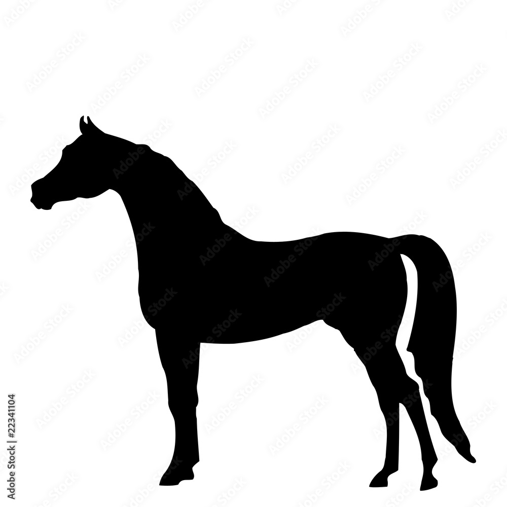 Horse. Horse.