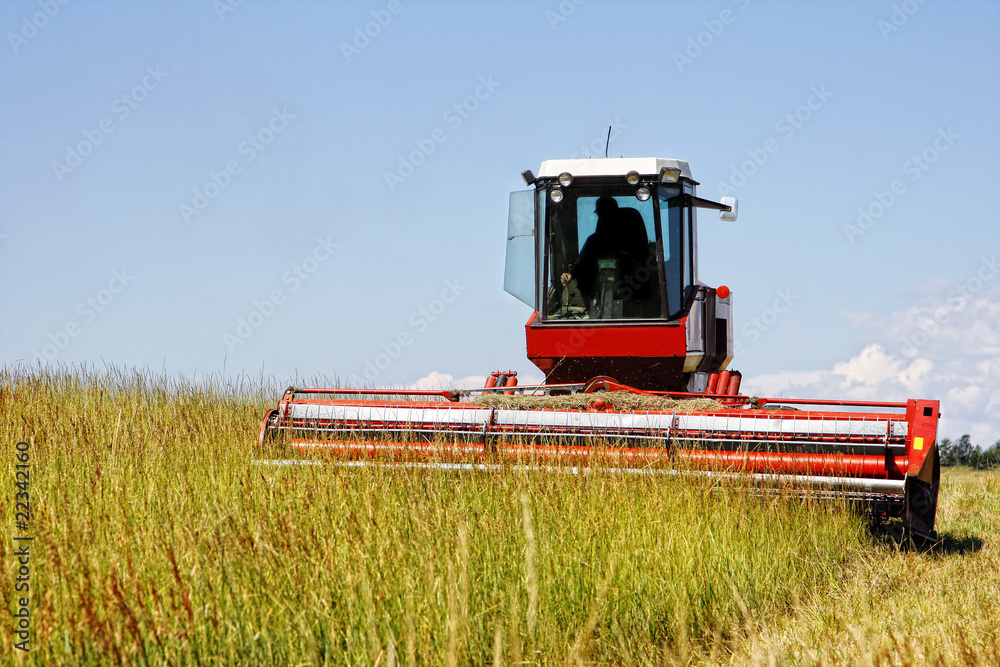Obraz premium Large Swather Harvesting a Grass Field for Livestock Hay