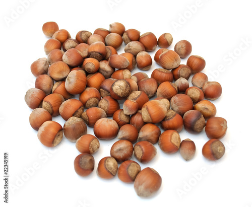 Pile of Hazelnuts