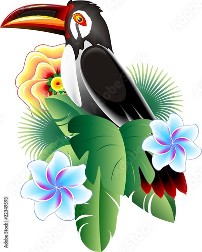 Tucano-Toucan-Vector Icon