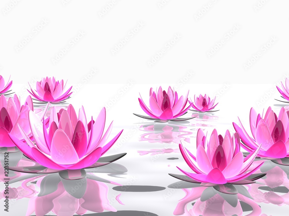 Lotusblüten im Wasser - obrazy, fototapety, plakaty 