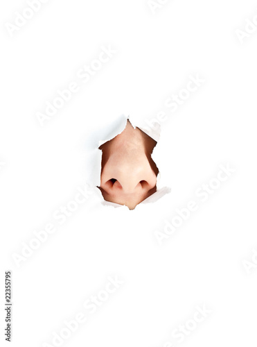 woman nose on white