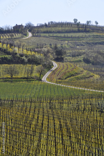 collina strada primavera trekking