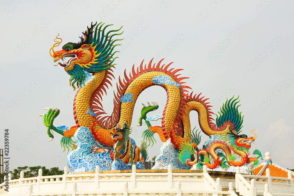 Fototapeta premium Dragon prominently