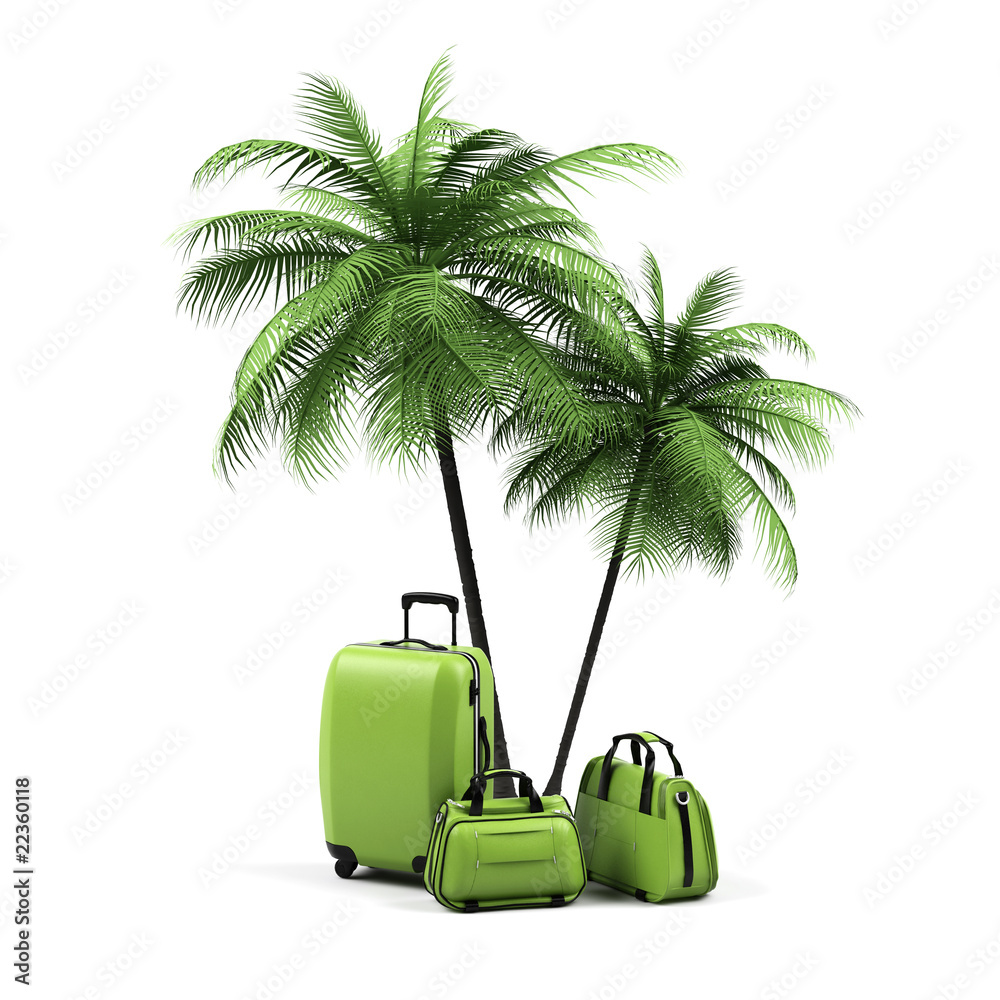 Obraz premium Luggage and palms on a white background.