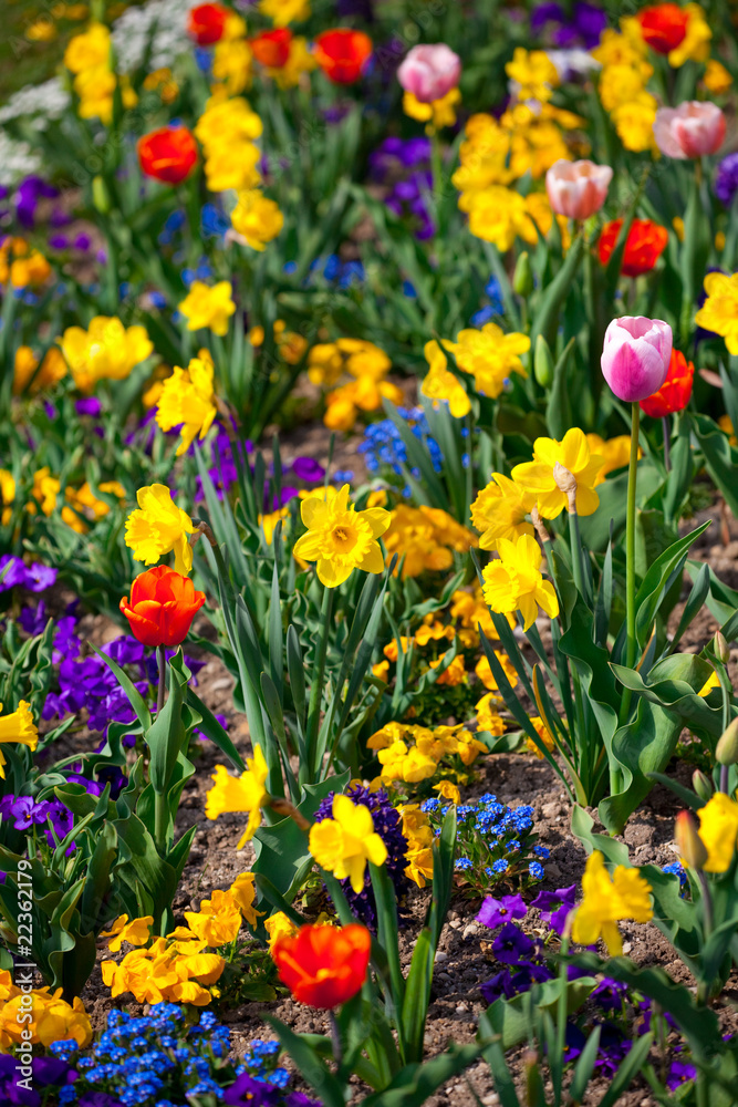 Sea of flowers