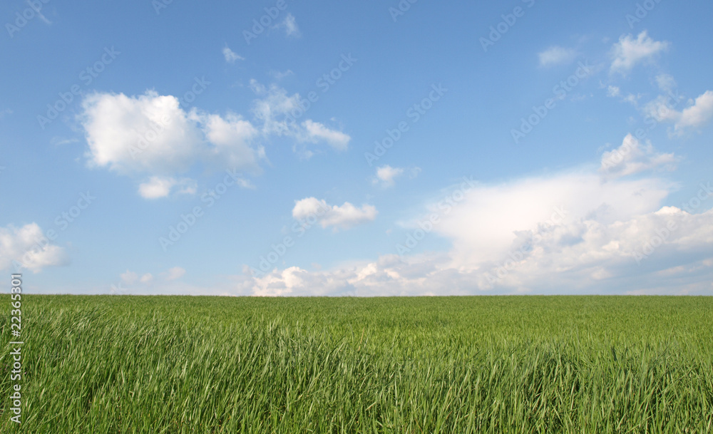 Obraz premium Ciel et terre